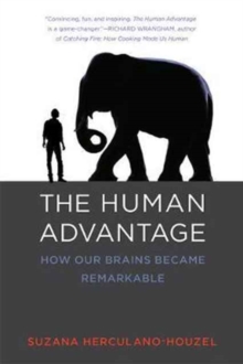 Image for The Human Advantage : How Our Brains Became Remarkable