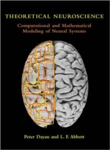 Image for Theoretical Neuroscience