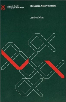 Dynamic Antisymmetry