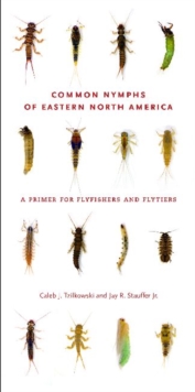 Common Nymphs of Eastern North America