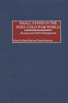 Image for Small States in the Post-Cold War World
