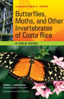 Image for Butterflies, moths, and other invertebrates of Costa Rica  : a field guide