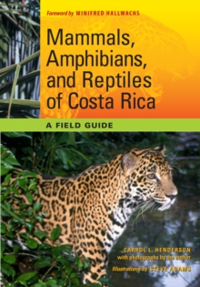 Image for Mammals, Amphibians, and Reptiles of Costa Rica