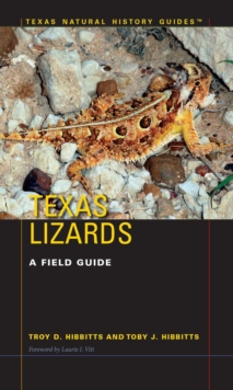 Image for Texas Lizards