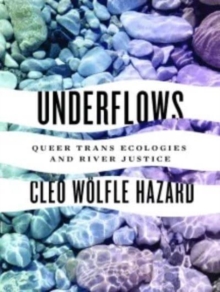 Image for Underflows