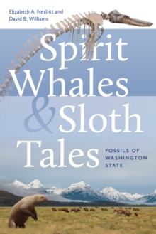 Image for Spirit Whales and Sloth Tales : Fossils of Washington State