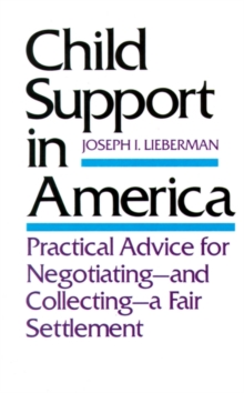 Image for Child Support in America : Practical Advice on Negotiating and Collecting a Fair Settlement