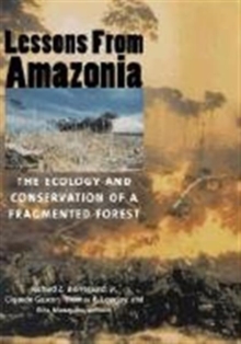 Image for Lessons from Amazonia  : the ecology and conservation of a fragmented forest
