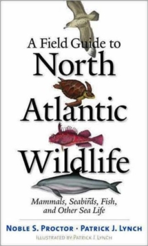 Image for A field guide to North Atlantic wildlife  : marine mammals, seabirds, fish, and other sealife