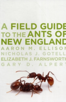 Image for A Field Guide to the Ants of New England