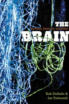 Brain