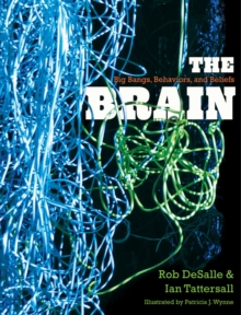 Image for The brain: big bangs, behaviors, and beliefs