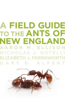 Image for A field guide to the ants of New England