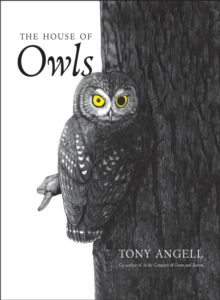 Image for The house of owls