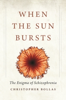 Image for When the sun bursts  : the enigma of schizophrenia