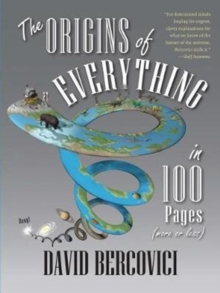 Image for The origins of everything in 100 pages (more or less)