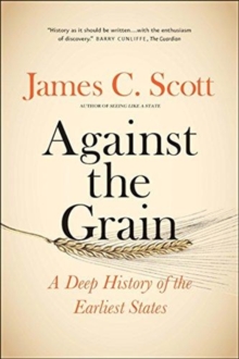 Image for Against the grain  : a deep history of the earliest states