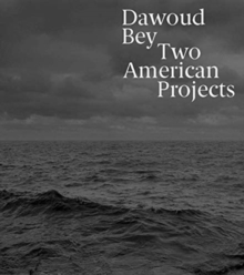Image for Dawoud Bey - two American projects