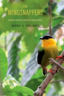 Image for The wingsnappers  : lessons from an exuberant tropical bird