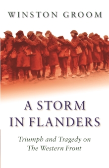 Image for A Storm in Flanders