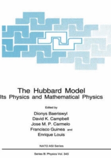 Image for The Hubbard Model
