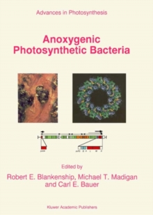 Image for Anoxygenic Photosynthetic Bacteria
