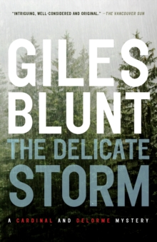 Image for The delicate storm