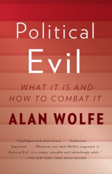 Image for Political Evil : What It Is and How to Combat It