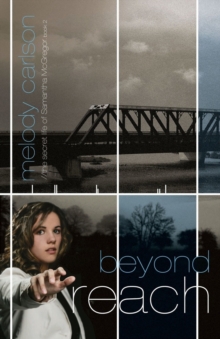 Image for Beyond reach: a novel