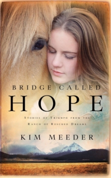 Image for Bridge called hope