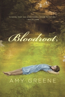 Image for Bloodroot: a novel