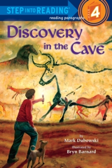 Image for Discovery in the cave