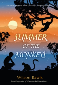 Image for Summer of the monkeys