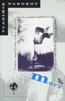 Image for Mary: a novel