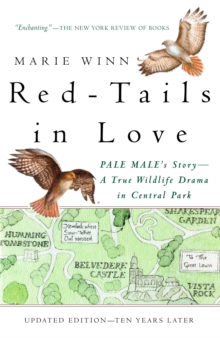 Image for Red-tails in love: a wildlife drama in Central Park