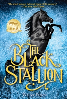 Image for The black stallion