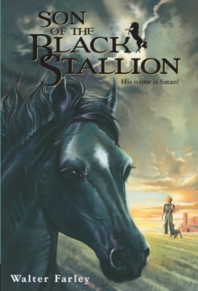Image for Son of the black stallion