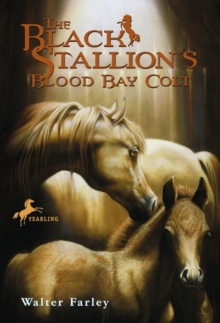 Image for Black Stallion's Blood Bay Colt