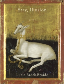 Image for Stay, Illusion