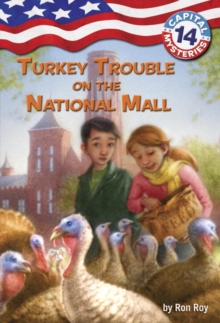 Image for Turkey trouble on the National Mall