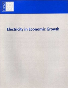 Image for Electricity in Economic Growth