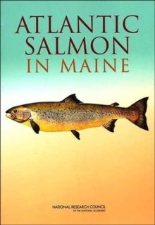 Image for Atlantic Salmon in Maine