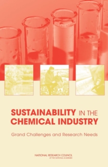 Image for Sustainability in the Chemical Industry : Grand Challenges and Research Needs