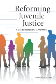 Image for Reforming Juvenile Justice : A Developmental Approach