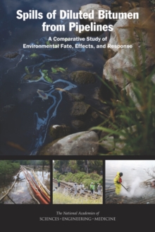Image for Spills of diluted bitumen from pipelines: a comparative study of environmental fate, effects, and response