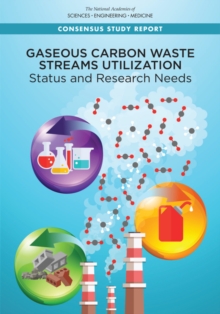 Image for Gaseous Carbon Waste Streams Utilization: Status and Research Needs