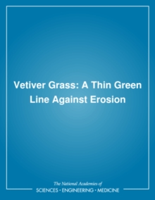 Image for Vetiver grass: a thin green line against erosion