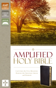 Image for Amplified Holy Bible, Bonded Leather, Black, Thumb Indexed : Captures the Full Meaning Behind the Original Greek and Hebrew