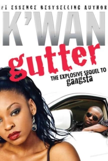 Gutter