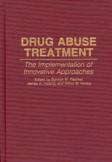 Image for Drug Abuse Treatment : The Implementation of Innovative Approaches